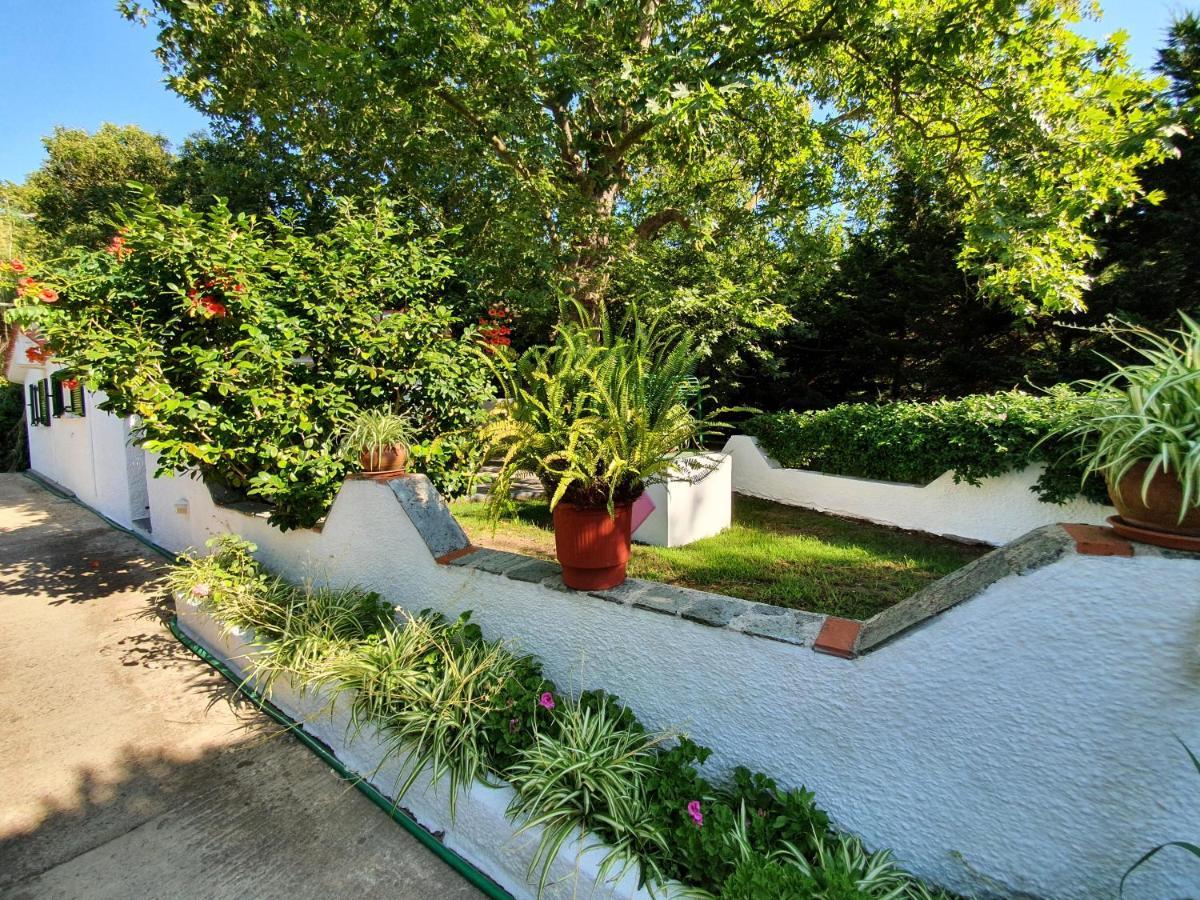 Dionisos Studios And Apts Skiathos Koukounaries Exterior photo